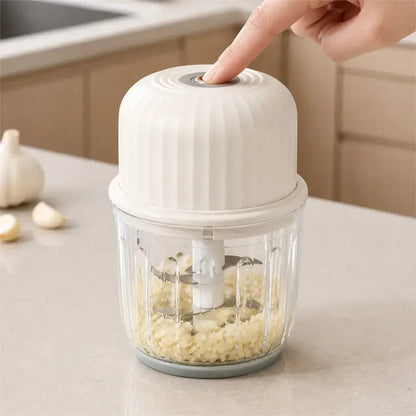 Rechargeable Electric Food Chopper