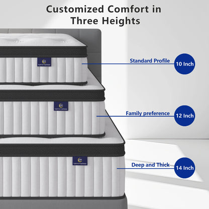 12-Inch Hybrid Pocket Spring Mattress